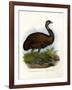 Emu, 1864-null-Framed Giclee Print