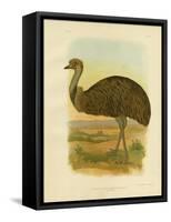 Emu, 1891-Gracius Broinowski-Framed Stretched Canvas