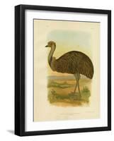 Emu, 1891-Gracius Broinowski-Framed Giclee Print