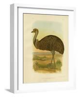 Emu, 1891-Gracius Broinowski-Framed Giclee Print