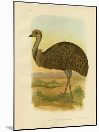 Emu, 1891-Gracius Broinowski-Mounted Giclee Print