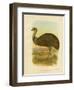 Emu, 1891-Gracius Broinowski-Framed Giclee Print