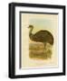 Emu, 1891-Gracius Broinowski-Framed Giclee Print