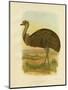 Emu, 1891-Gracius Broinowski-Mounted Giclee Print