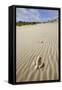 Emu Footprints at the Yeagarup Dunes, Southwest Australia-Neil Losin-Framed Stretched Canvas