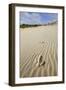 Emu Footprints at the Yeagarup Dunes, Southwest Australia-Neil Losin-Framed Premium Photographic Print