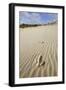 Emu Footprints at the Yeagarup Dunes, Southwest Australia-Neil Losin-Framed Premium Photographic Print