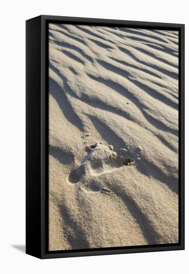 Emu Footprints at the Yeagarup Dunes, Southwest Australia-Neil Losin-Framed Stretched Canvas