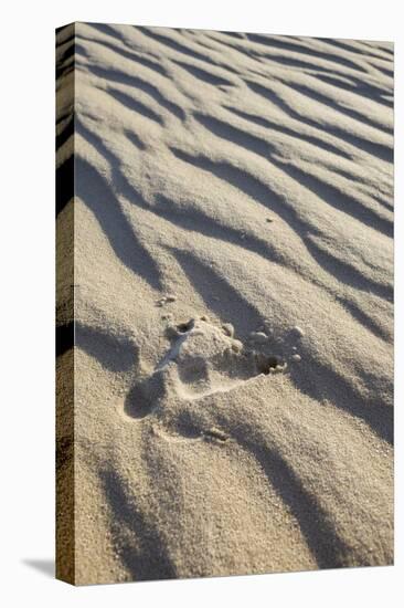Emu Footprints at the Yeagarup Dunes, Southwest Australia-Neil Losin-Stretched Canvas