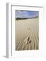 Emu Footprints at the Yeagarup Dunes, Southwest Australia-Neil Losin-Framed Photographic Print