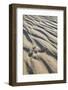 Emu Footprints at the Yeagarup Dunes, Southwest Australia-Neil Losin-Framed Photographic Print