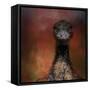 Emu Stare-Jai Johnson-Framed Stretched Canvas