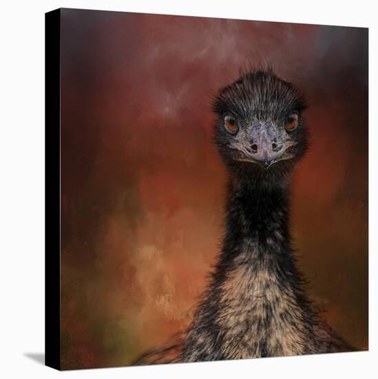 Emu Stare-Jai Johnson-Stretched Canvas