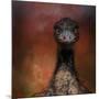 Emu Stare-Jai Johnson-Mounted Giclee Print