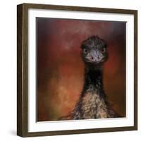 Emu Stare-Jai Johnson-Framed Giclee Print