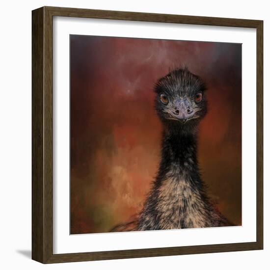 Emu Stare-Jai Johnson-Framed Giclee Print