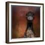 Emu Stare-Jai Johnson-Framed Giclee Print