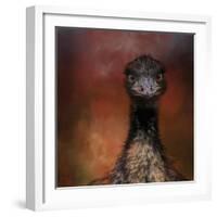 Emu Stare-Jai Johnson-Framed Giclee Print
