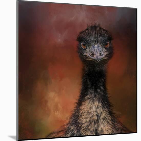 Emu Stare-Jai Johnson-Mounted Giclee Print