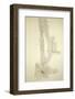 Emulsion Photo of a Cosmic Ray Pion-C. Powell-Framed Photographic Print