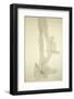 Emulsion Photo of a Cosmic Ray Pion-C. Powell-Framed Photographic Print