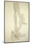 Emulsion Photo of a Cosmic Ray Pion-C. Powell-Mounted Photographic Print