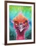 Emus Of A Feather-Elizabeth Medley-Framed Art Print