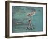 En Pointe-Peter Hawkins-Framed Giclee Print