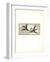 En Vol-Georges Braque-Framed Premium Edition