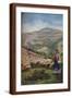 Brown Frame