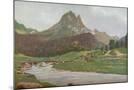 Wood Mount