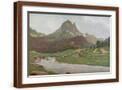 Brown Frame
