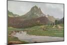 Wood Mount