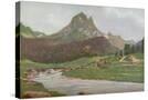 Stretched Canvas