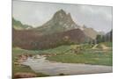 Wood Mount