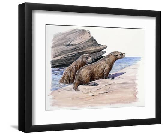 Photographic Print, , large