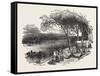 Encampment of Mormons on the Missouri River, United States of America, 1851-null-Framed Stretched Canvas