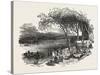 Encampment of Mormons on the Missouri River, United States of America, 1851-null-Stretched Canvas