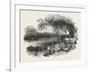 Encampment of Mormons on the Missouri River, United States of America, 1851-null-Framed Giclee Print