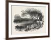 Encampment of Mormons on the Missouri River, United States of America, 1851-null-Framed Giclee Print