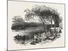 Encampment of Mormons on the Missouri River, United States of America, 1851-null-Mounted Giclee Print