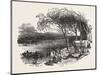 Encampment of Mormons on the Missouri River, United States of America, 1851-null-Mounted Giclee Print