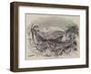 Encampment of Naturalists in the Marriaqua Valley, St Vincent-null-Framed Giclee Print