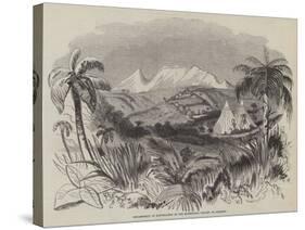 Encampment of Naturalists in the Marriaqua Valley, St Vincent-null-Stretched Canvas