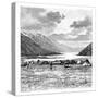 Encampment of the English Expedition of 1871, Lake Pang-Kong, Tibet, 1895-null-Stretched Canvas