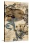 Encaustic Ephemera I-Jennifer Goldberger-Stretched Canvas