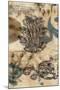 Encaustic Ephemera II-Jennifer Goldberger-Mounted Art Print