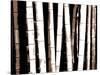 Enchanted Bamboo Brown-Herb Dickinson-Stretched Canvas