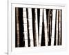 Enchanted Bamboo Brown-Herb Dickinson-Framed Photographic Print