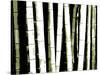 Enchanted Bamboo Green-Herb Dickinson-Stretched Canvas